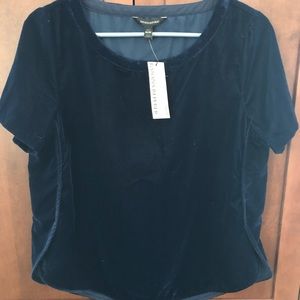 BNWT Banana Republic Navy Velvet Top Medium Petite